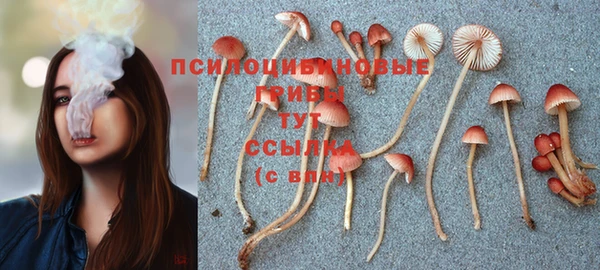 прущий лед Баксан