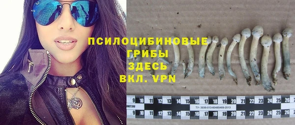 гидропоника Балабаново