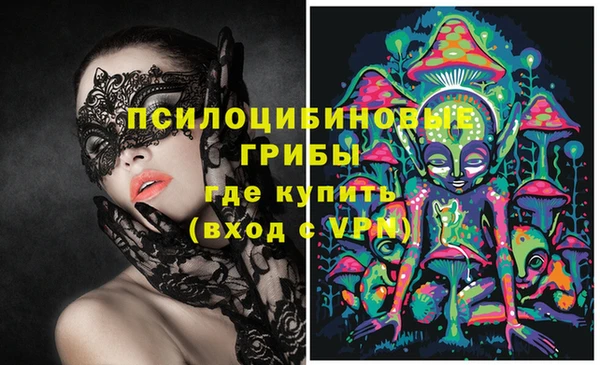 бошки Балахна